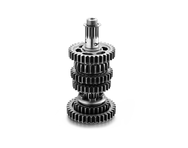 Output Shaft Assembly